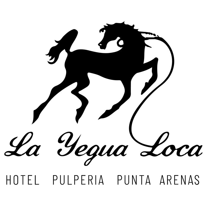 Hotel Boutique La Yegua Loca in Punta Arenas, Chile
